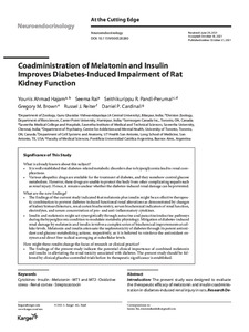 coadministration-melatonin-insulin.pdf.jpg