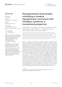 neuroprotection-from-protein.pdf.jpg