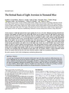 retinal-basis-light.pdf.jpg