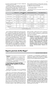 reporte-provincia-rio-negro.pdf.jpg