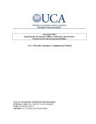 derecho-consular-competencia-federal.pdf.jpg
