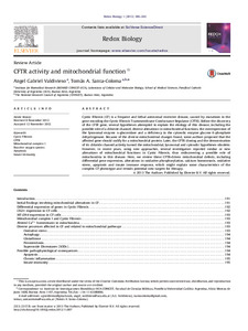 cftr-activity-mitochondrial-function.pdf.jpg