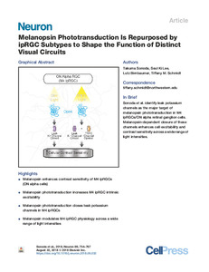 melanopsin-phototransduction-repurposed-ipRGC.pdf.jpg