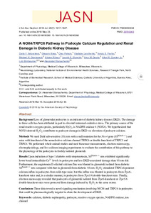 nox4-trpc6-pathway-podocyte.pdf.jpg