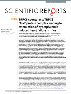 trpc6-counteracts trpc3-nox2.pdf.jpg