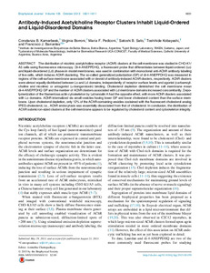 antibody-induced-acetylcholine.pdf.jpg