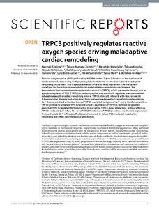 trpc3-positively-regulates-reactive.pdf.jpg