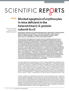 blunted-apoptosis-erythrocytes-mice.pdf.jpg