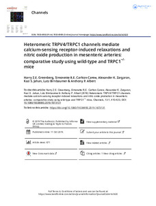 heteromeric-TRPV4-TRPC1-channels.pdf.jpg