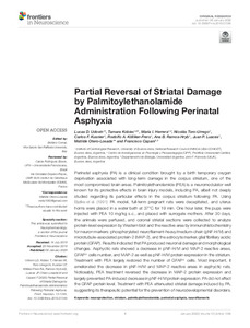 partial-reversal-striatal-damage.pdf.jpg
