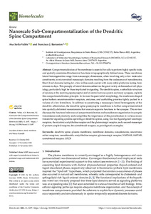 nanoscale-sub-compartmentalization.pdf.jpg