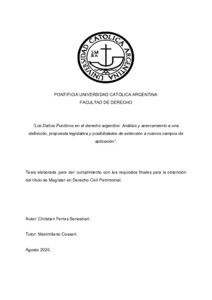 daños-punitivos-derecho-argentino.pdf.jpg