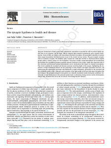 synaptic-lipidome-health.pdf.jpg