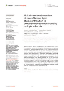multidimensional-overview-neurofilament.pdf.jpg