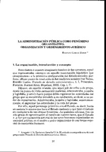 administracion-publica-fenomeno.pdf.jpg