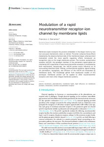 modulation-rapid-neurotransmitter.pdf.jpg