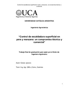 control-escaldadura-superficial.pdf.jpg