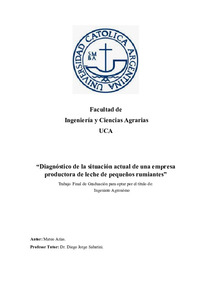 diagnostico-situacion-actual.pdf.jpg