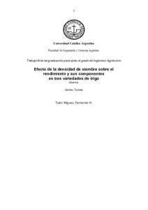 efecto-densidad-siembra.pdf.jpg