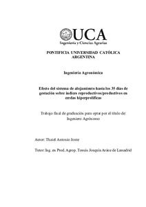 efecto-sistema-alojamiento.pdf.jpg