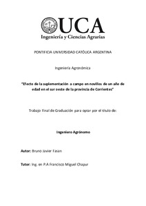 efecto-suplementacion-campo.pdf.jpg