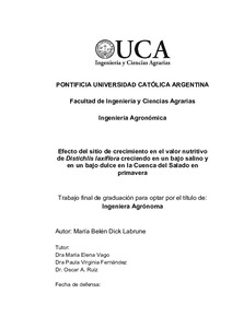 efecto-sitio-crecimiento.pdf.jpg