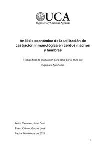 analisis-economico-utilizacion.pdf.jpg