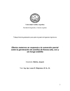 efectos-maternos-respuesta.pdf.jpg