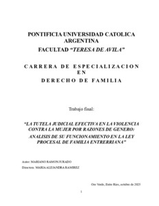 tutela-judicial-efectiva.pdf.jpg
