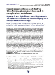 biogenic-copper-oxide-nanoparticles-from-trichoderma-harzianum-a-novel-approach-for-managing-wheat-blast-disease.pdf.jpg